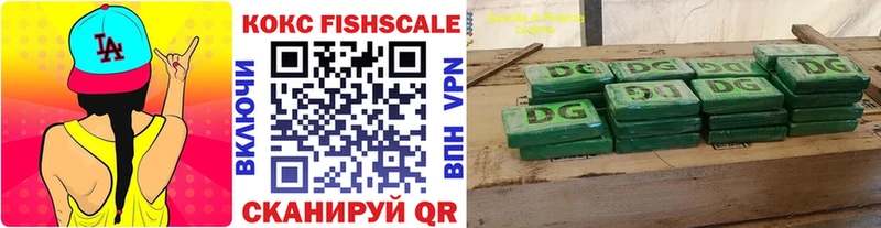 дарнет шоп  МЕГА ТОР  COCAIN 98%  Ветлуга 