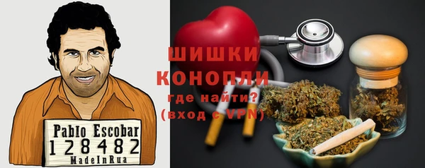 ГАЛЛЮЦИНОГЕННЫЕ ГРИБЫ Алексин