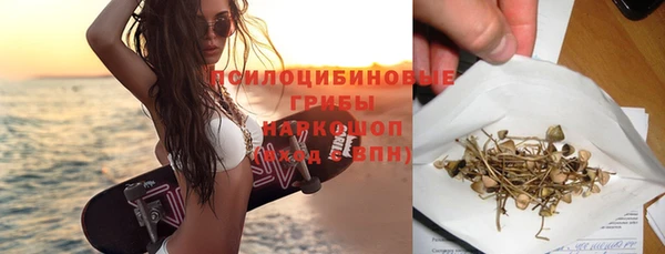 ГАЛЛЮЦИНОГЕННЫЕ ГРИБЫ Алексин