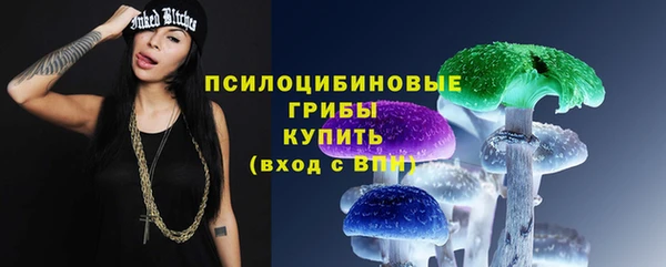 ГАЛЛЮЦИНОГЕННЫЕ ГРИБЫ Алзамай