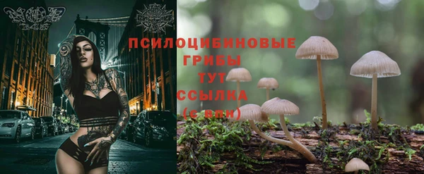 хмурый Приозерск