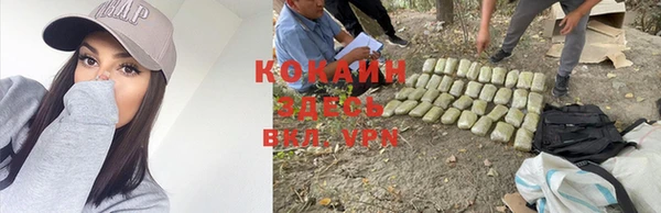 ГАЛЛЮЦИНОГЕННЫЕ ГРИБЫ Алзамай