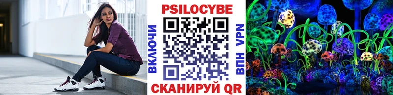Галлюциногенные грибы Psilocybe  Ветлуга 